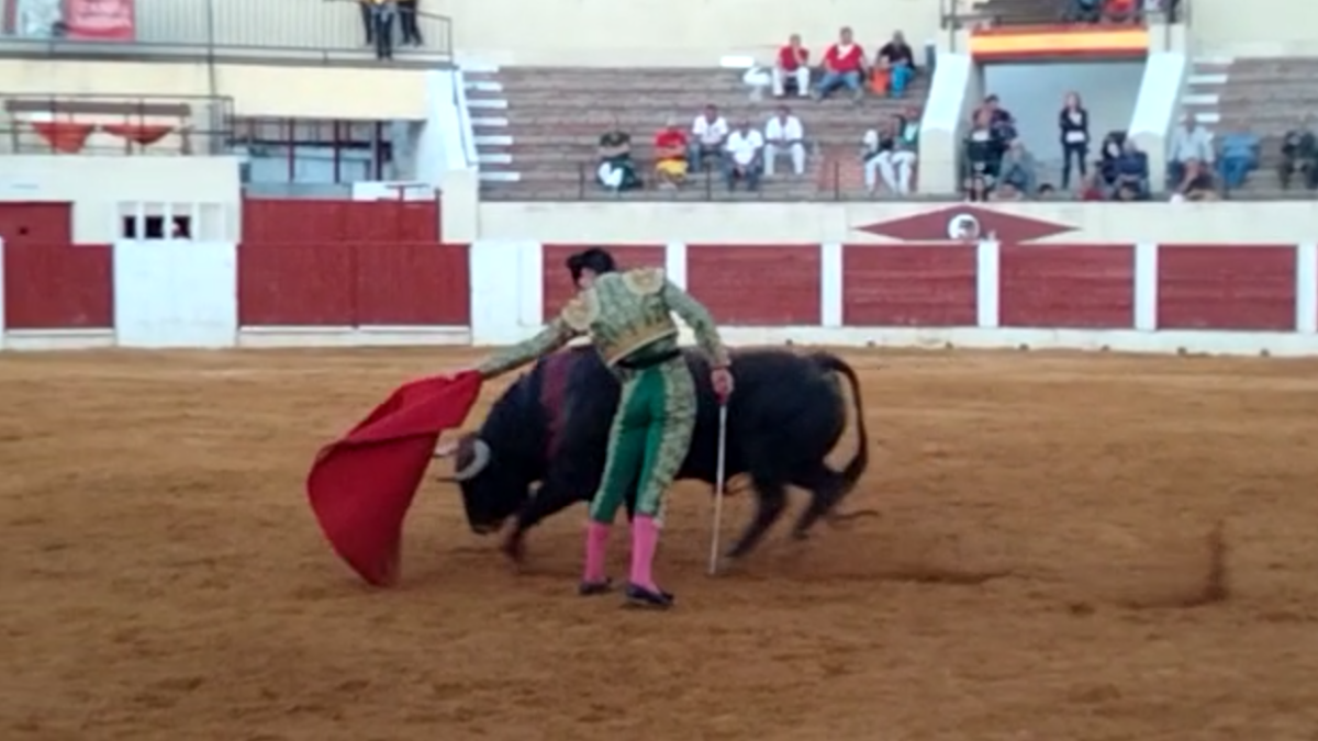 Triunfo rotundo de Daniel Medina en Olmedo. CÉSAR MATA