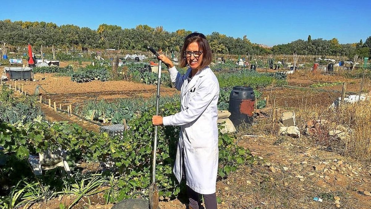 Trinidad Peña, responsable del Laboratorio de INEA, tomando una muestra en una parcela dentro de las instalaciones de la Escuela.¡-E.M.