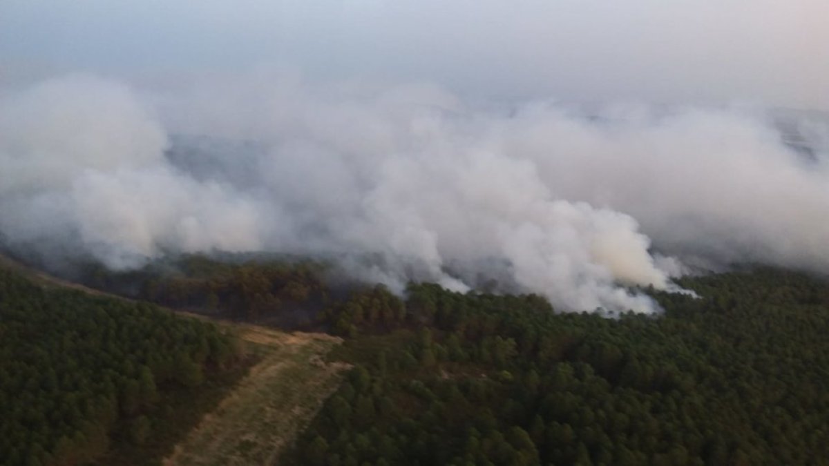 Frente del incendio en la Sierra de la Culebra en Zamora.