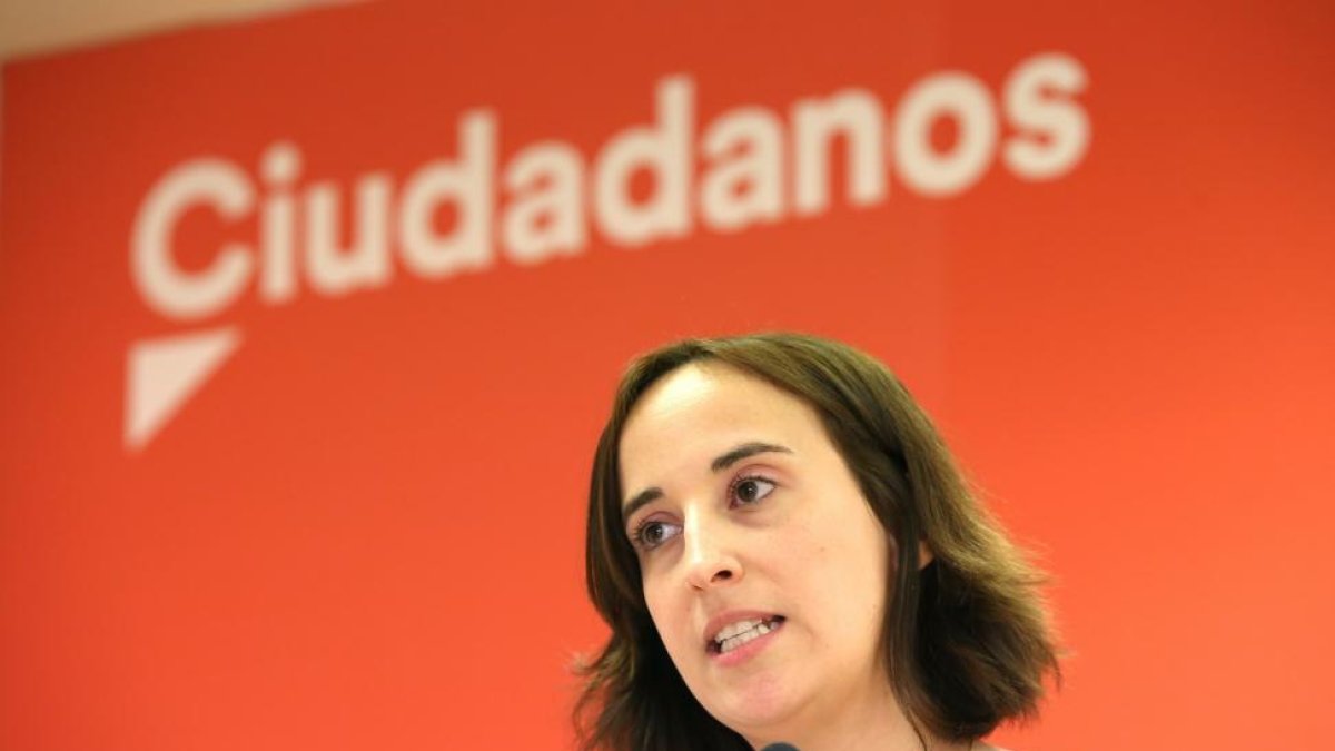 La portavoz de Ciudadanos en Valladolid, Pilar Vicente-ICAL
