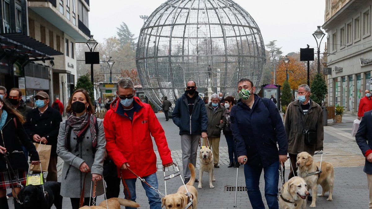 Usuarios de perros guía este lunes en Valladolid / LOSTAU