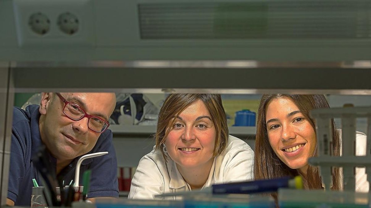 Eladio Velasco, Beatriz Díez y Eugenia Fraile en las instalaciones del Instituto de Biología y Genética Molecular de Valladolid.-MIGUEL ÁNGEL SANTOS