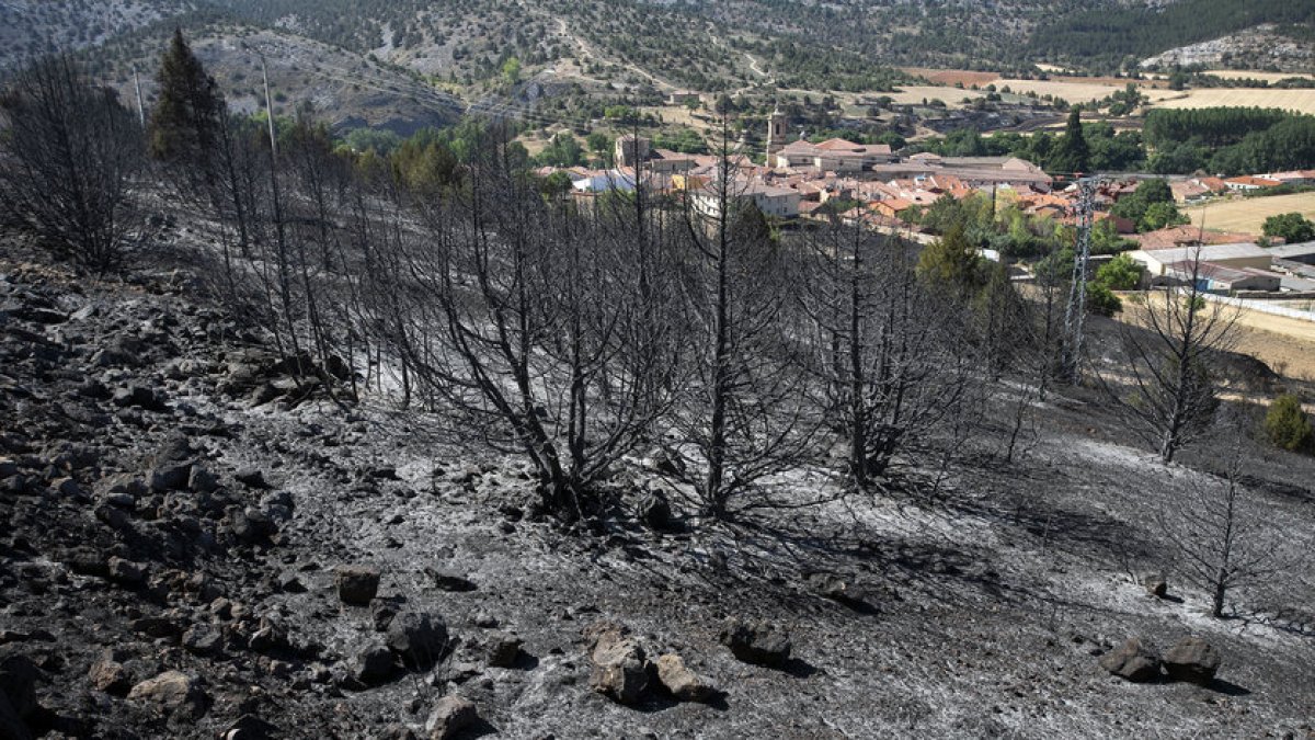Efectos del incendio del día de ayer en varios pueblos de la comarca del Arlanza en Burgos.- ICAL