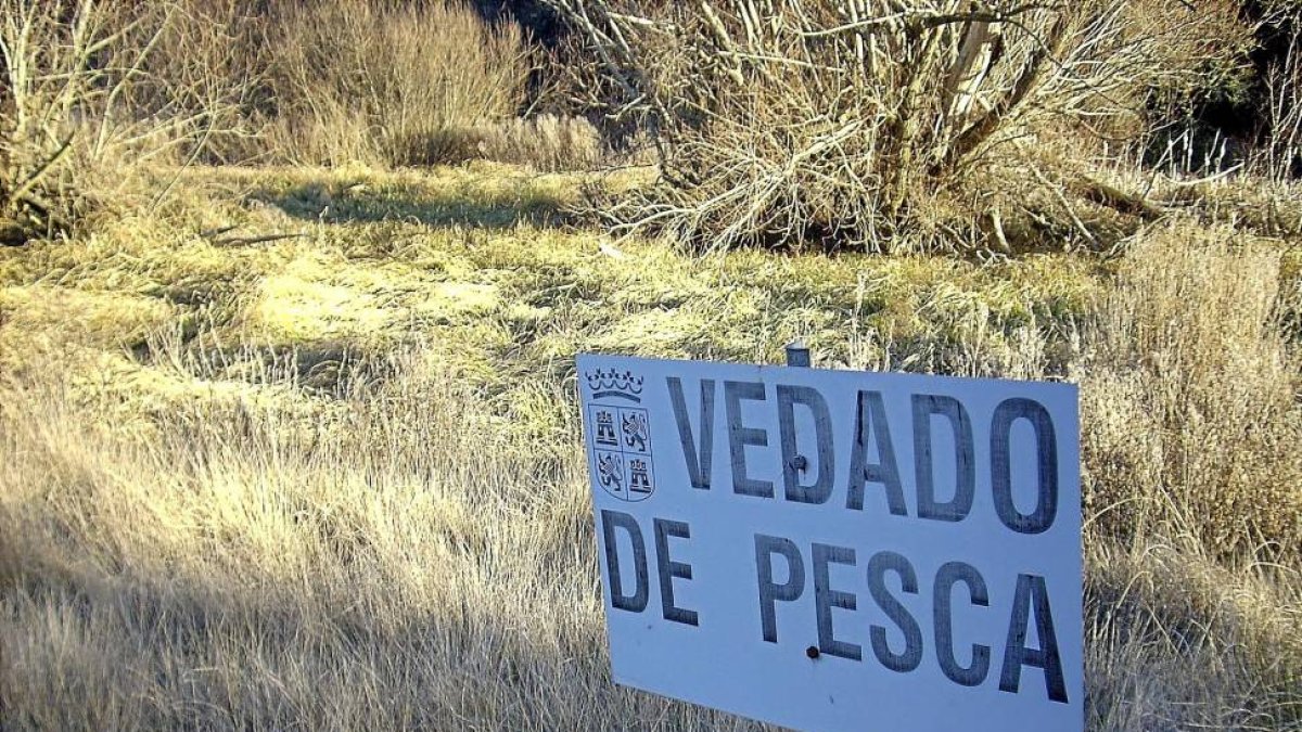 Un cartel anuncia 'vedado de pesca' en una zona seca cercana al embalse entre La Santa Espina y Castromonte.-Santiago