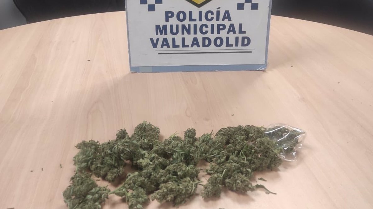 Foto de las drogas y el arma blanca requisadas - E.PRESS