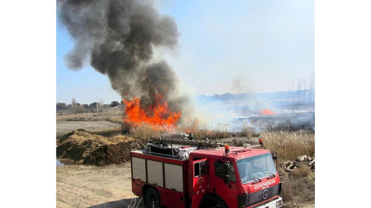 Una dotación de bomberos de la capital vallisoletana apaga un fuego en una finca rústica de Laguna de Duero.-EL MUNDO