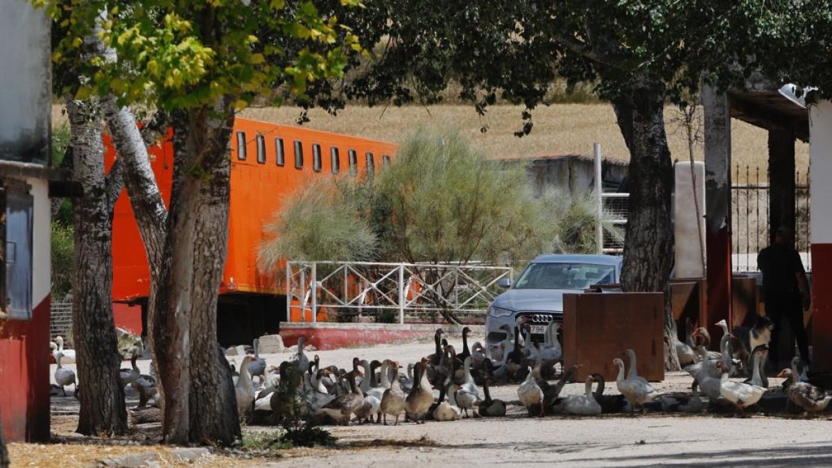 Escuela de equitación El Centauro en Tudela de Duero. PHOTOGENIC