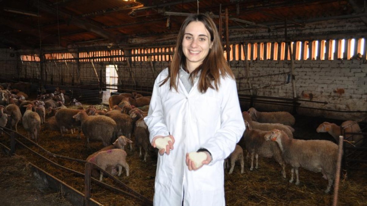 Beatriz de Lera muestra los nuevos quesos con forma de corazón junto a las ovejas con cuya leche se abastece esta quesería artesanal de Toral de los Guzmanes, en León.-I. M.