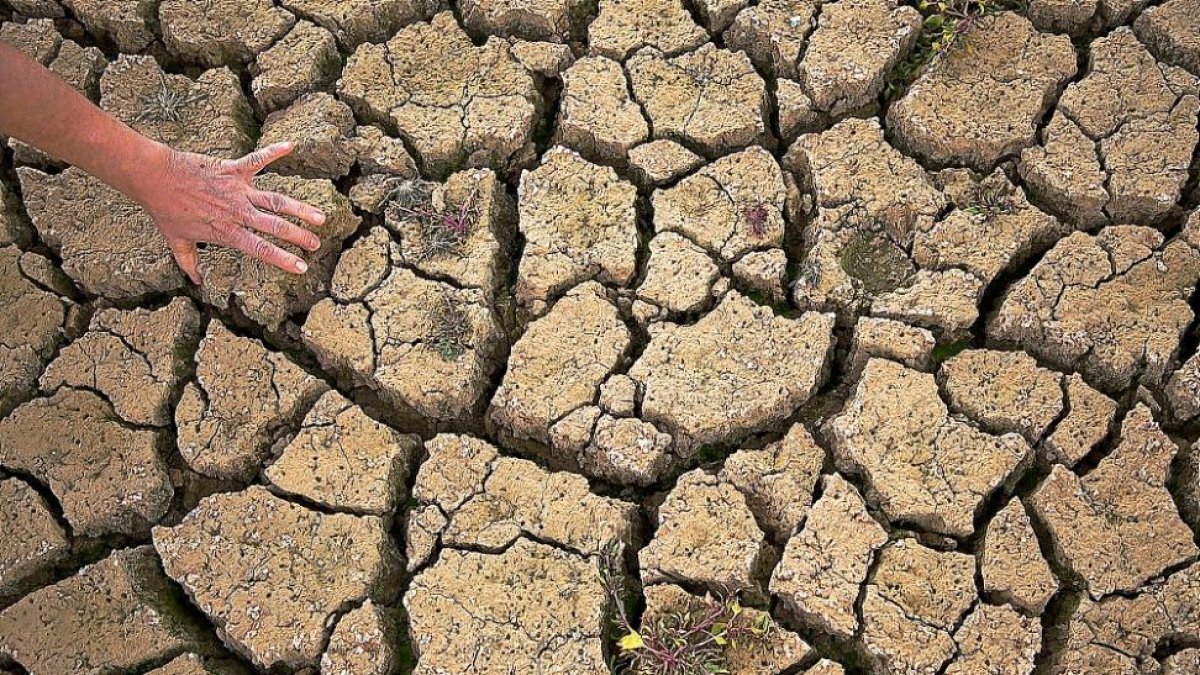 Efectos de la sequía en una tierra de cultivo. - E.M.