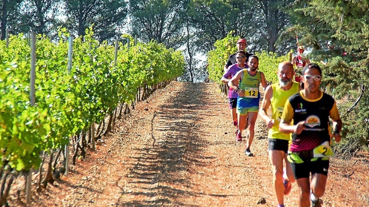 Imagen de archivo de una carrera de una edición precedente de 'Corriendo entre viñas'. / EL MUNDO