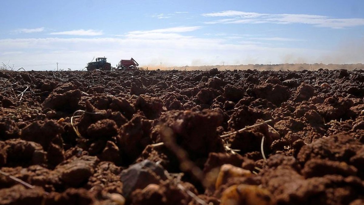 Un trabajador preparando las tierras en una parcela cercana a la capital salmantina.-ENRIQUE CARRASCAL