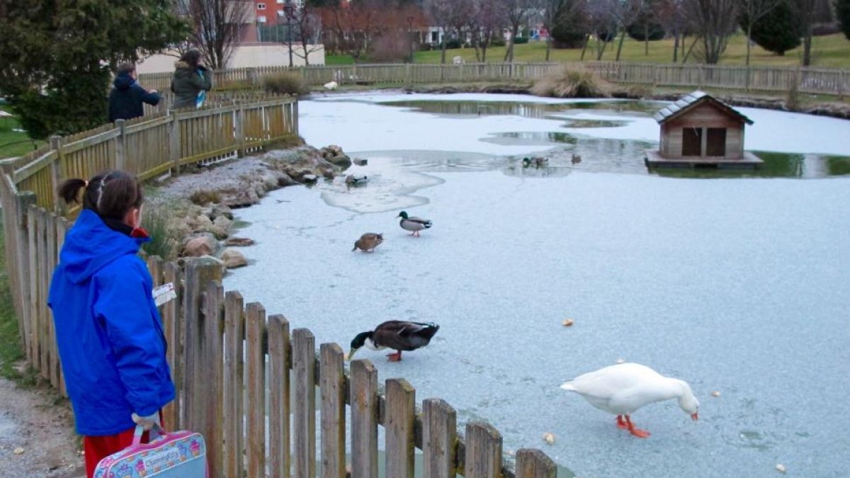 El frío y el hielo llegan a Ávila-ICAL