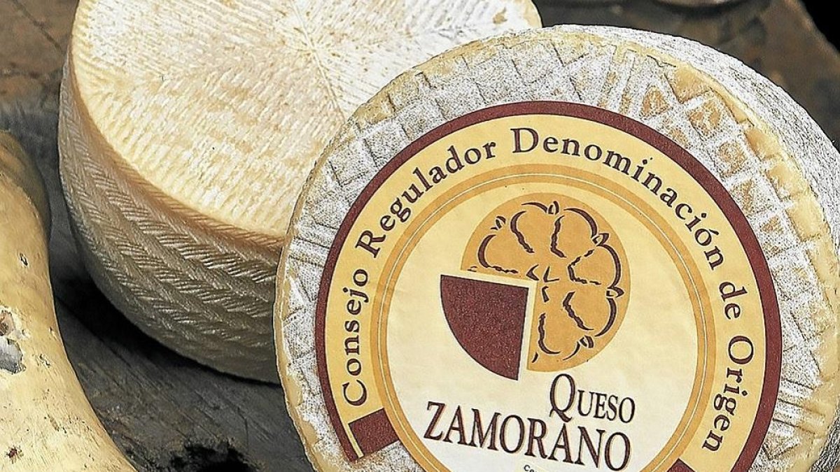 La Denominación de Origen Queso Zamorano celebra sus bodas de plata. Sus productores mantienen este arte de crear queso de gran intensidad vinculado al pastoreo al igual que hicieron generaciones anteriores-LA POSADA