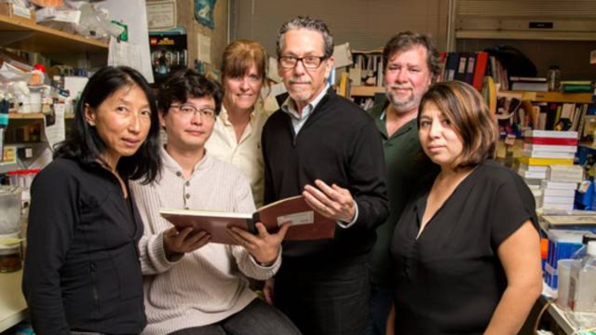 Los investigadores del proyecto.-Foto: INSTITUTO SALK DE EEUU