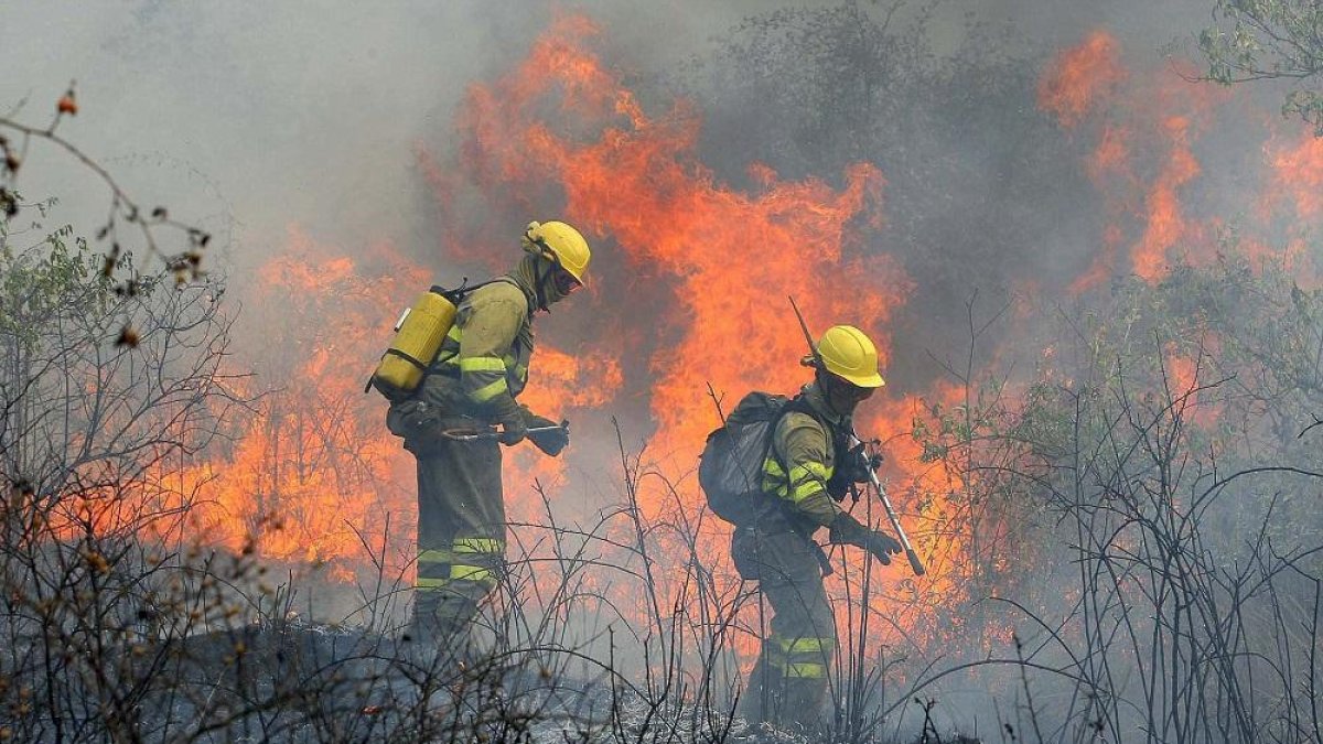 Dos brigadistas trabajan en las labores de extinción de un incendio, en una imagen de archivo.-ICAL