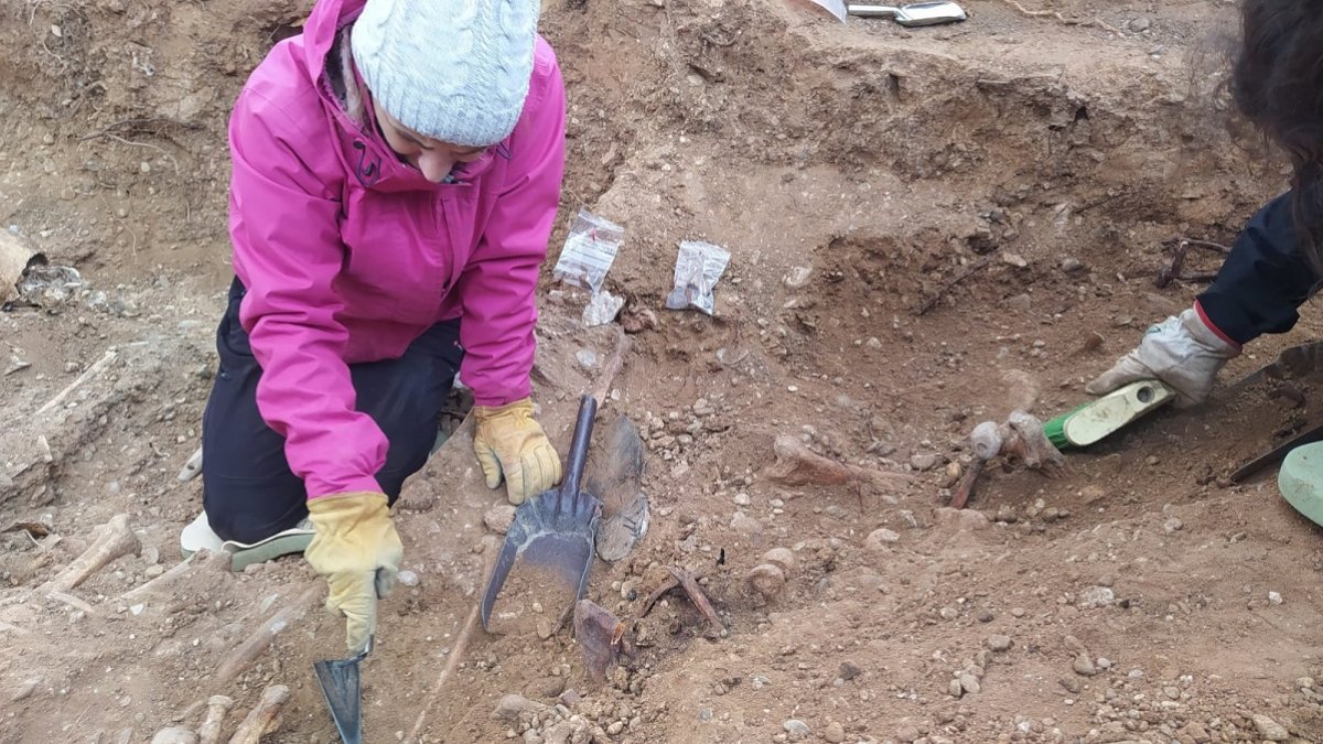 Imagen de las excavaciones en el Cementerio del Carmen en las que se hallaron restos de 30 personas.- E.M.
