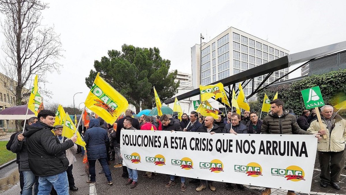 Agricultores y ganaderos se concentraron frente a la sede de la Delegación del Gobierno en Valladolid. ICAL