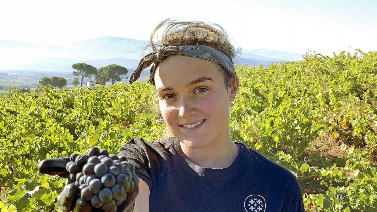 Una joven vendimiadora muestra un racimo de uvas durante la vendimia pasada en El Bierzo.-