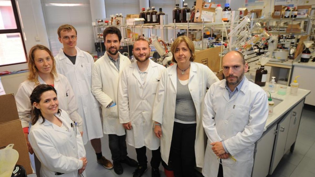 El grupo de investigación Bioorgánica, de la UBU.-ISRAEL L. MURILLO