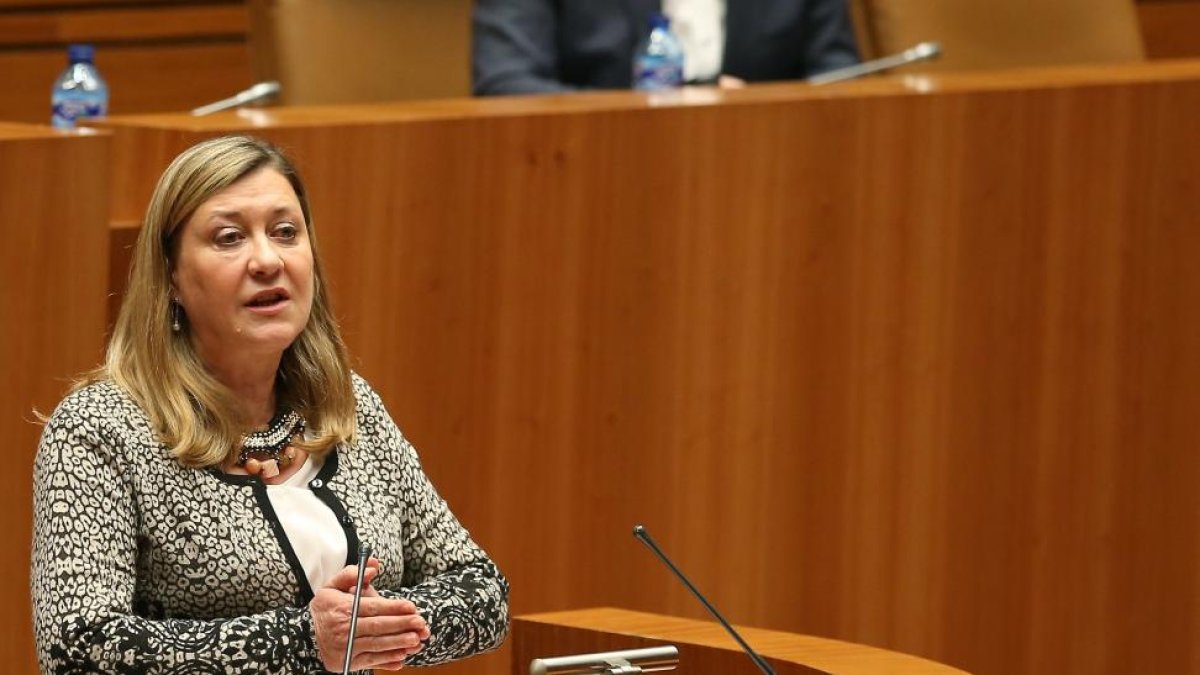 La consejera de hacienda de la Junta de Castilla y León, Pilar del Olmo, durante su intervención en el pleno de las Cortes de Castilla y León-Ical