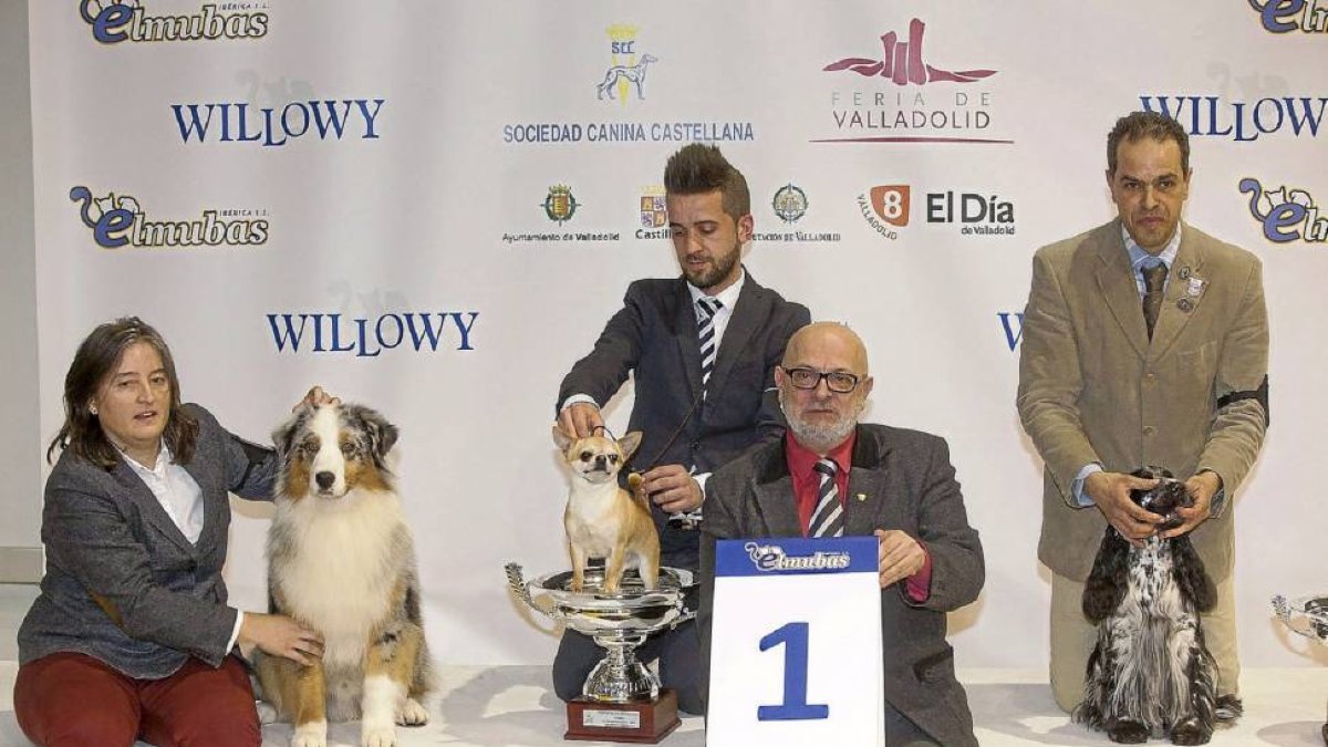 Los perros ganadores de la Exposición Canina Internacional junto a sus dueños en Fimascota-Pablo Requejo