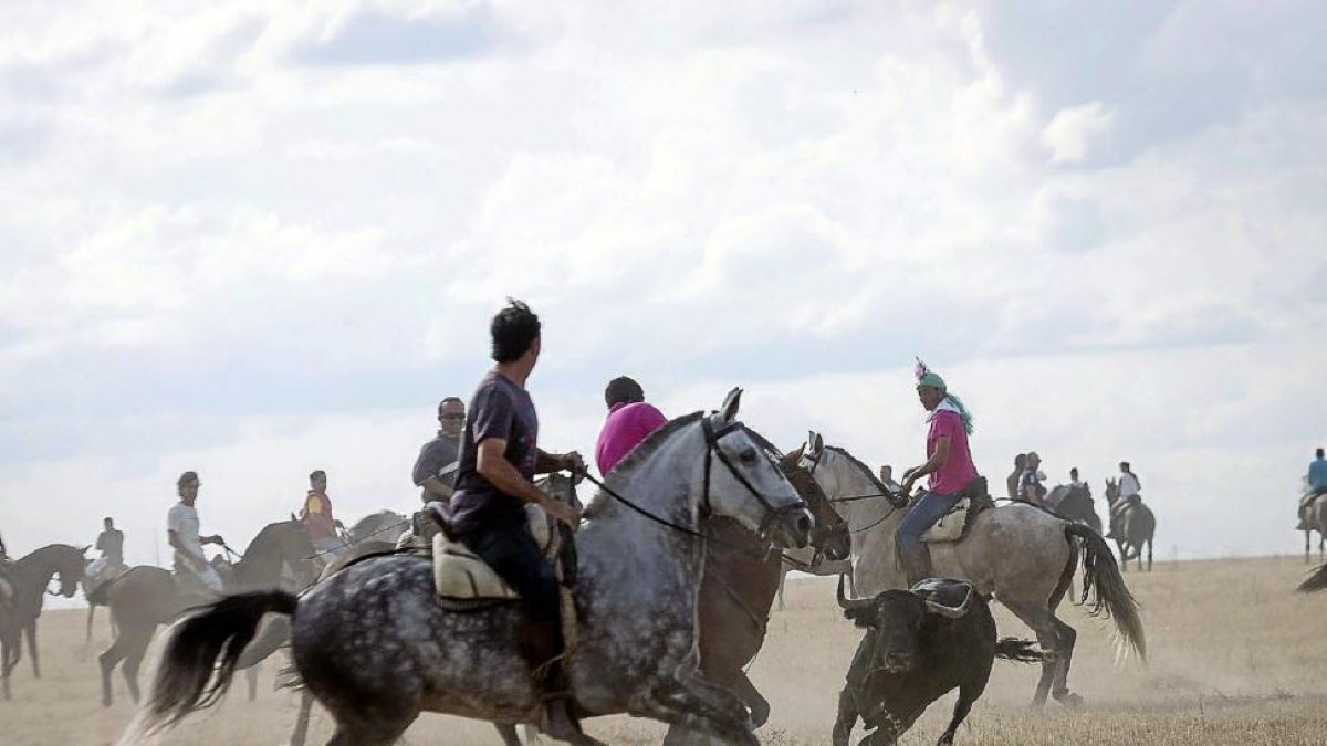 Los caballistas intentan reconducir un novillo díscolo en uno de los encierros del pasado año.-MIGUEL ÁNGEL SANTOS