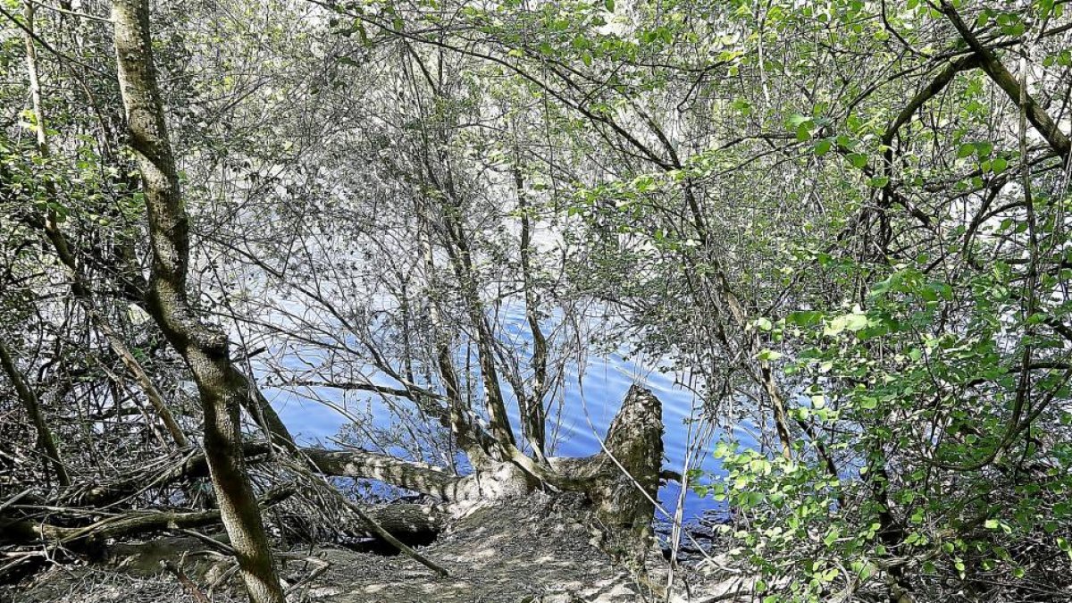 Lugar del río en el que apareció el cuerpo  de Sebastián V. R,, situado bajo el camino de Soto de la Medinilla.-J. M. LOSTAU