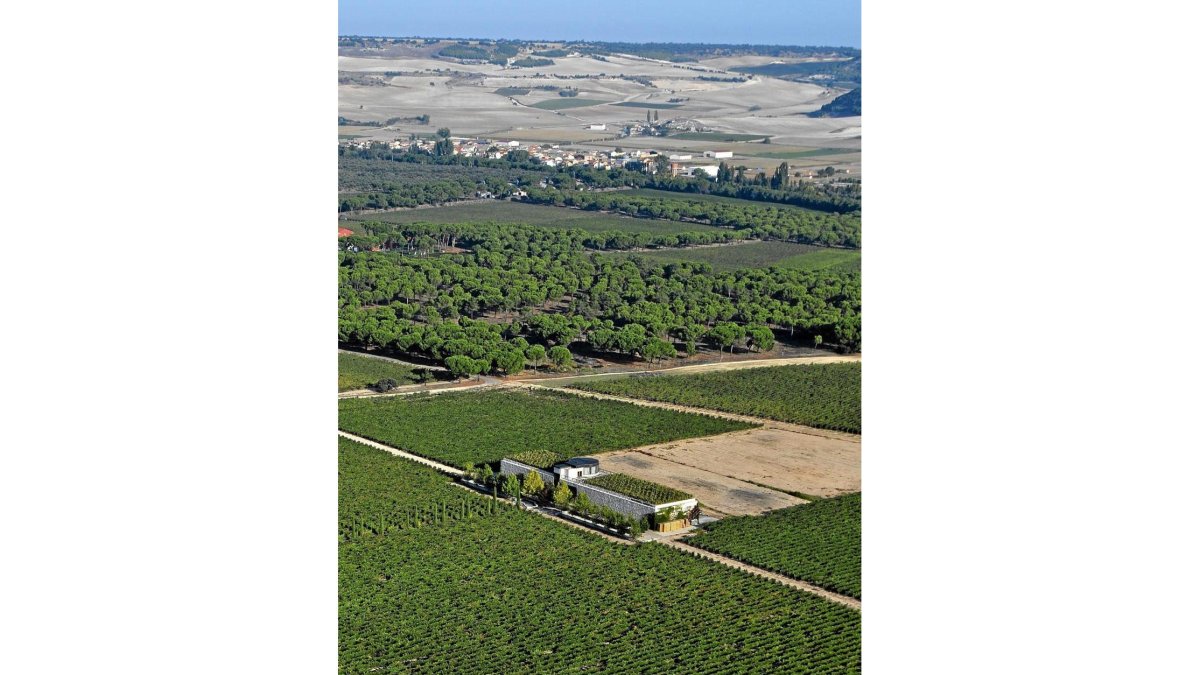 Vista aérea de Hacienda Abascal, situada en plena ‘milla de oro’ de la Ribera delDuero vallisoletana.-I.M.