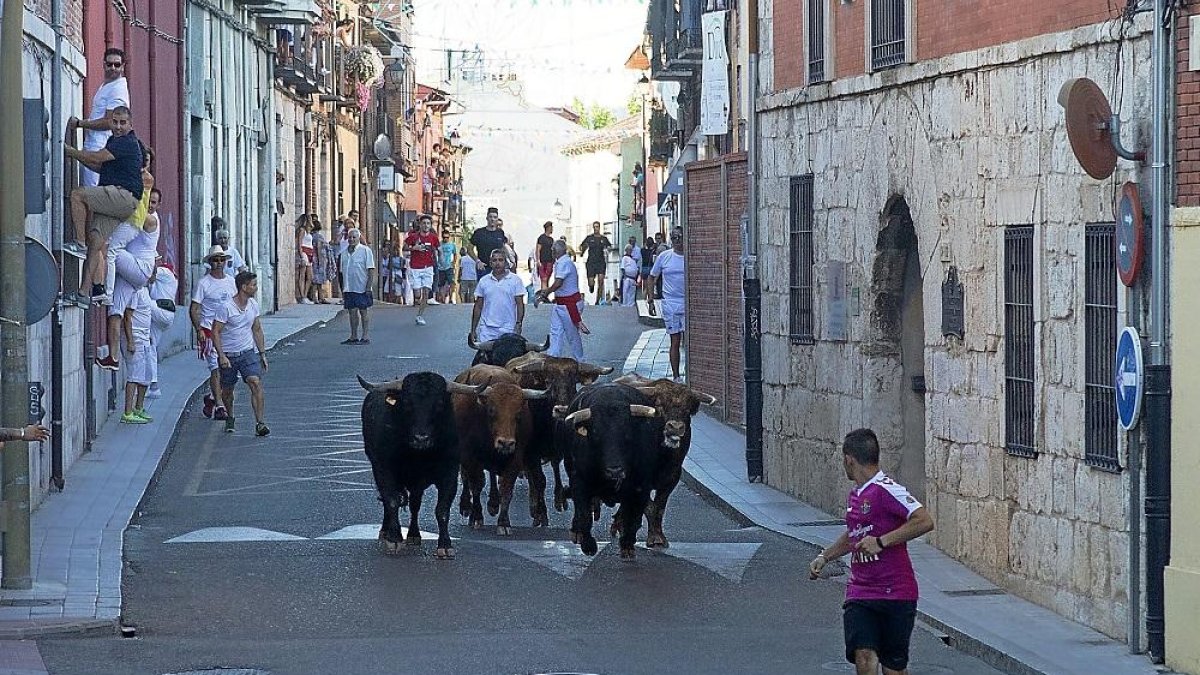 Un joven corre durante el encierro de ayer en Tudela de Duero.-JOSE C. CASTILLO / PHOTOGENIC