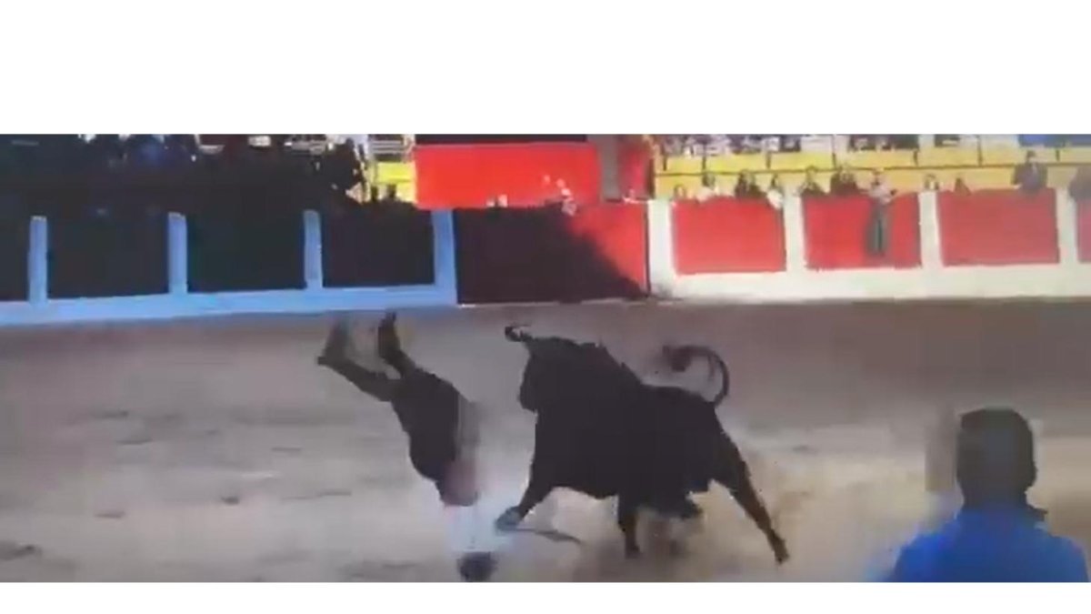 Un hombre es embestido por un toro en Íscar.