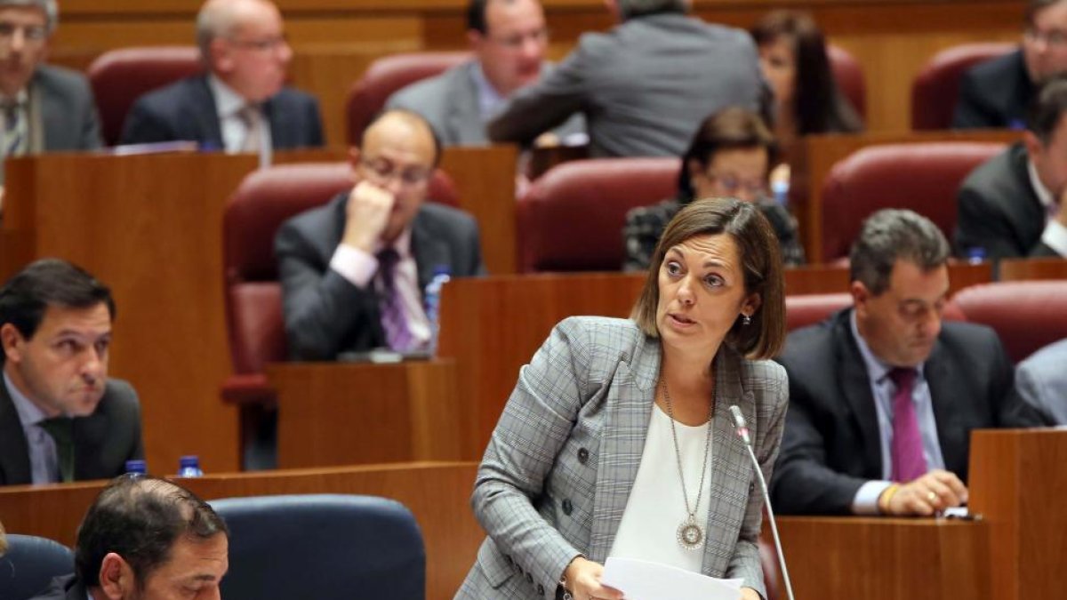 Intervención de la consejera de Agricultura y Ganadería, Milagros Marcos en el Pleno de las Cortes-ICAL