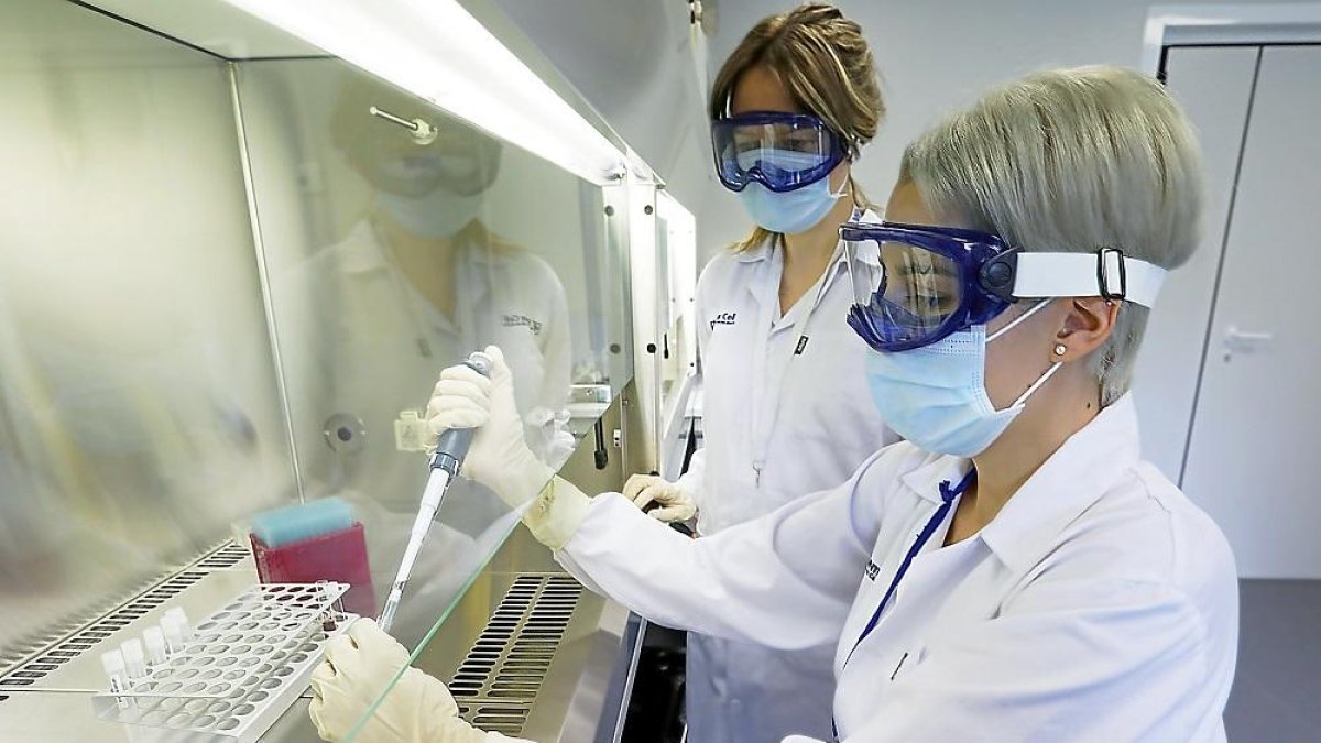 María Jesús Pelaz y Vanessa Segura en el laboratorio de la compañía Stem Cell.-J. M. LOSTAU