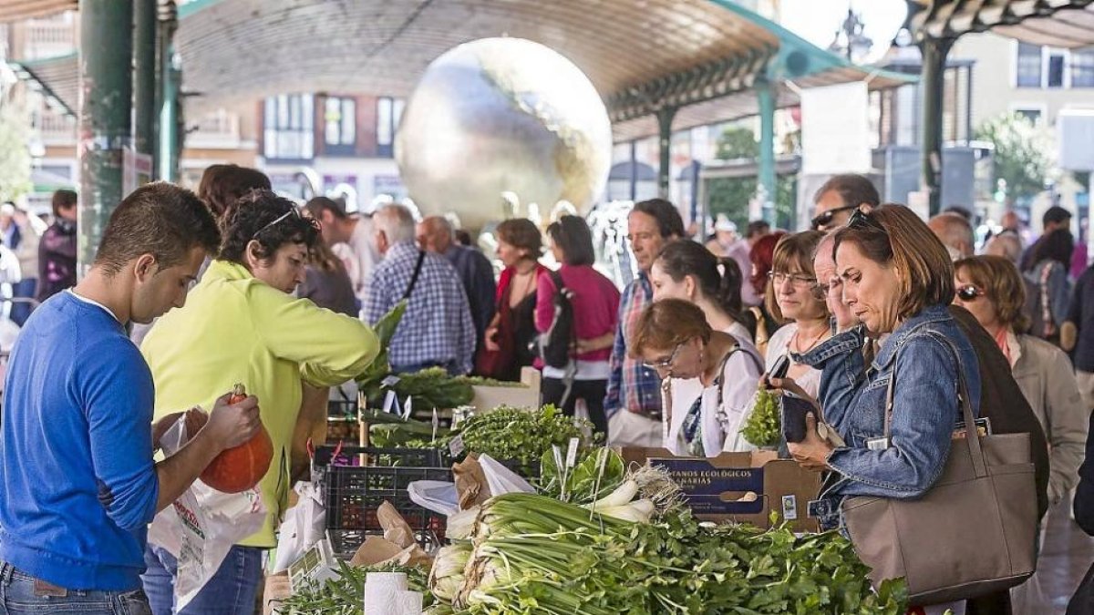 Mercado de la plaza de España bajo la marquesina sobre la que se montará una cubierta vegetal .-E. M.