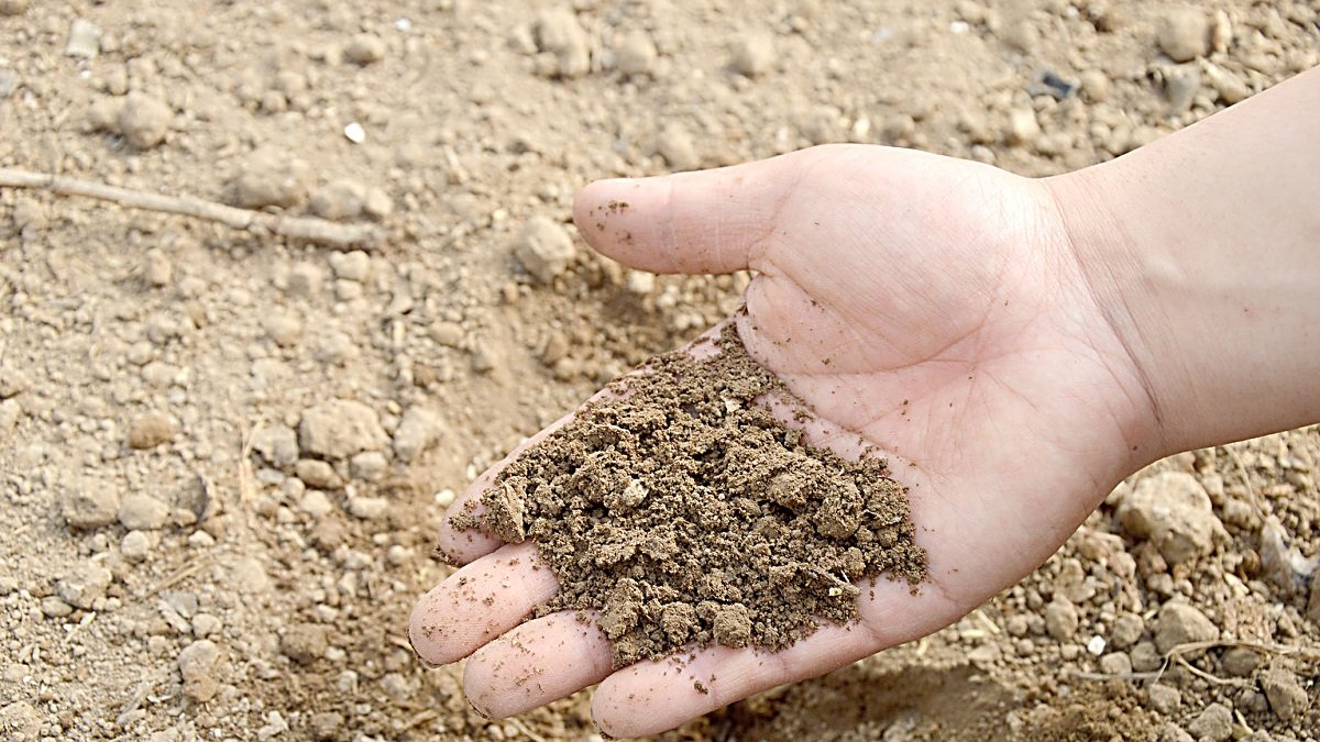 Un agricultor muestra el estado del suelo de su explotación antes de la sementera.  PQS / CCO