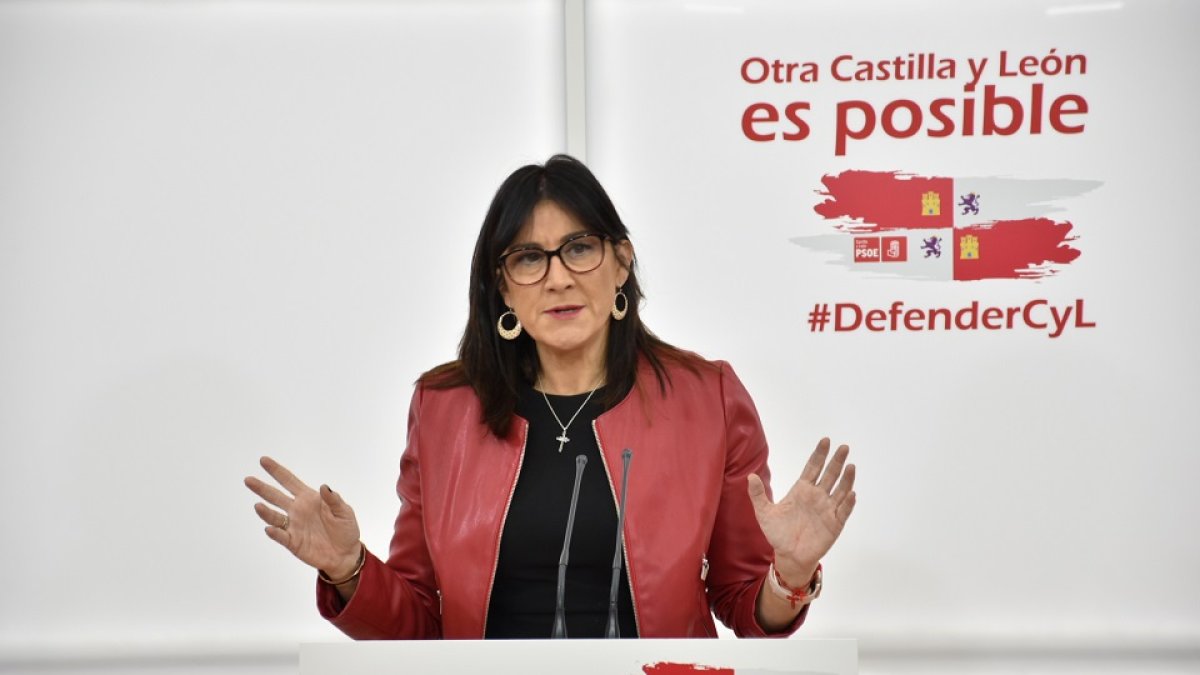 La secretaria de Organización del Partido Socialista de Castilla y León, Ana Sánchez, ayer. | E.M.