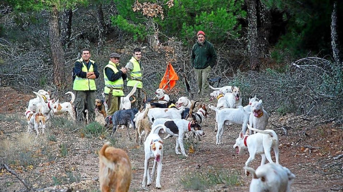 Un grupo de rehaleros en una montería en Peñausende (Zamora).-LEONARDO DE LA FUENTE