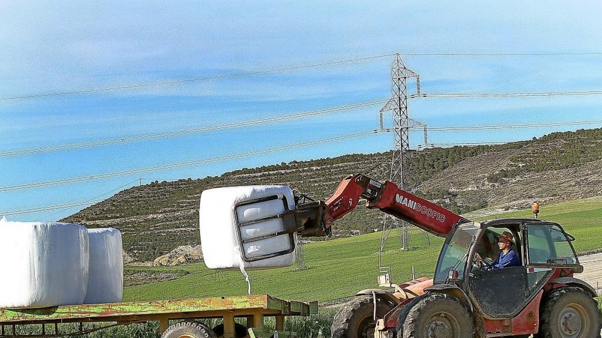 Un agricultor empaca con plástico el trigo verde empleado como forraje, en un municipio palentino.-BRÁGIMO