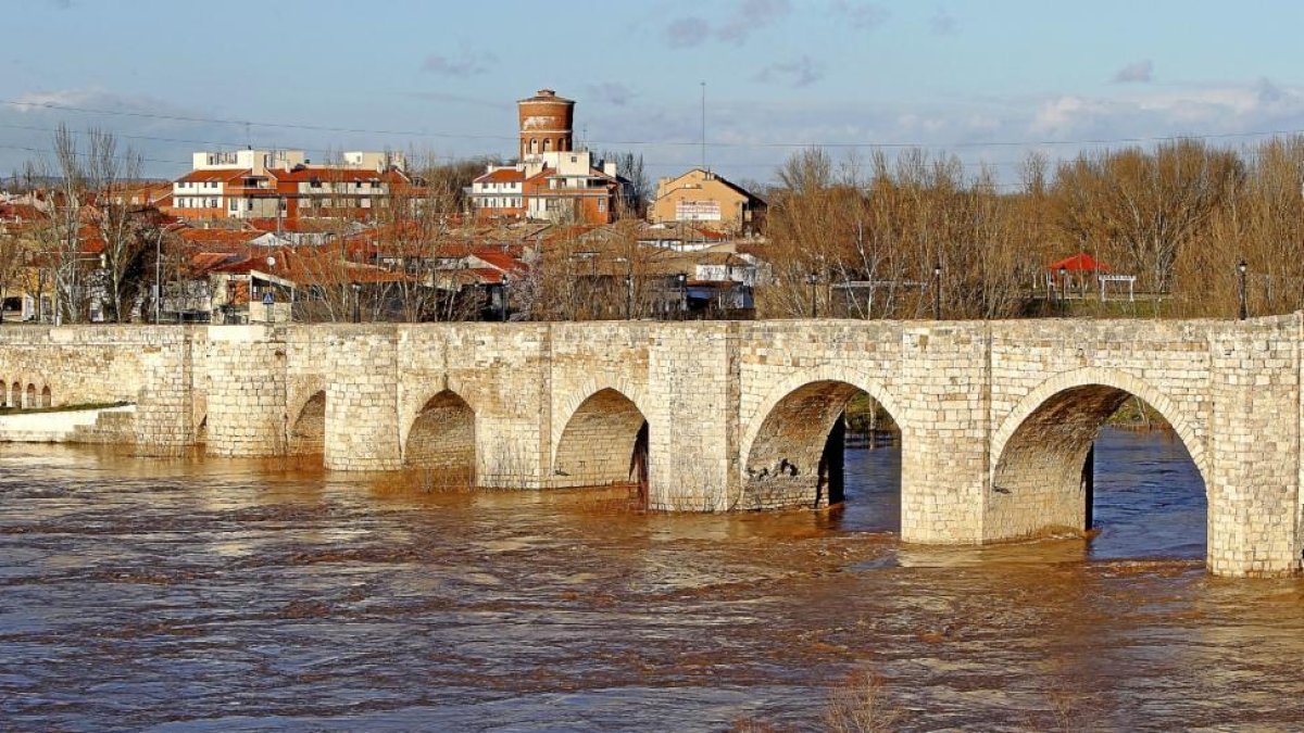 Estado del río Pisuerga, con tendencia al alza, a su paso por el puente medieval de Cabezón.-J. M. LOSTAU