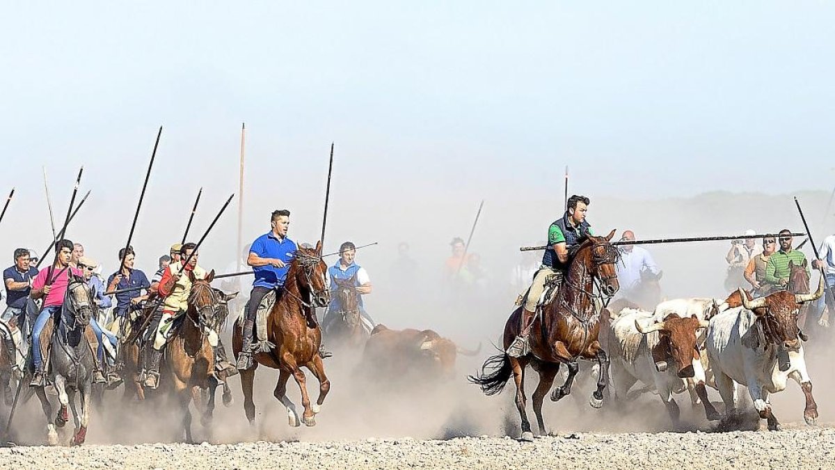 Participantes a caballo en el encierro mixto en el campo en Aldeamayor.-MIGUEL ANGEL SANTOS (PHOTOGENIC)