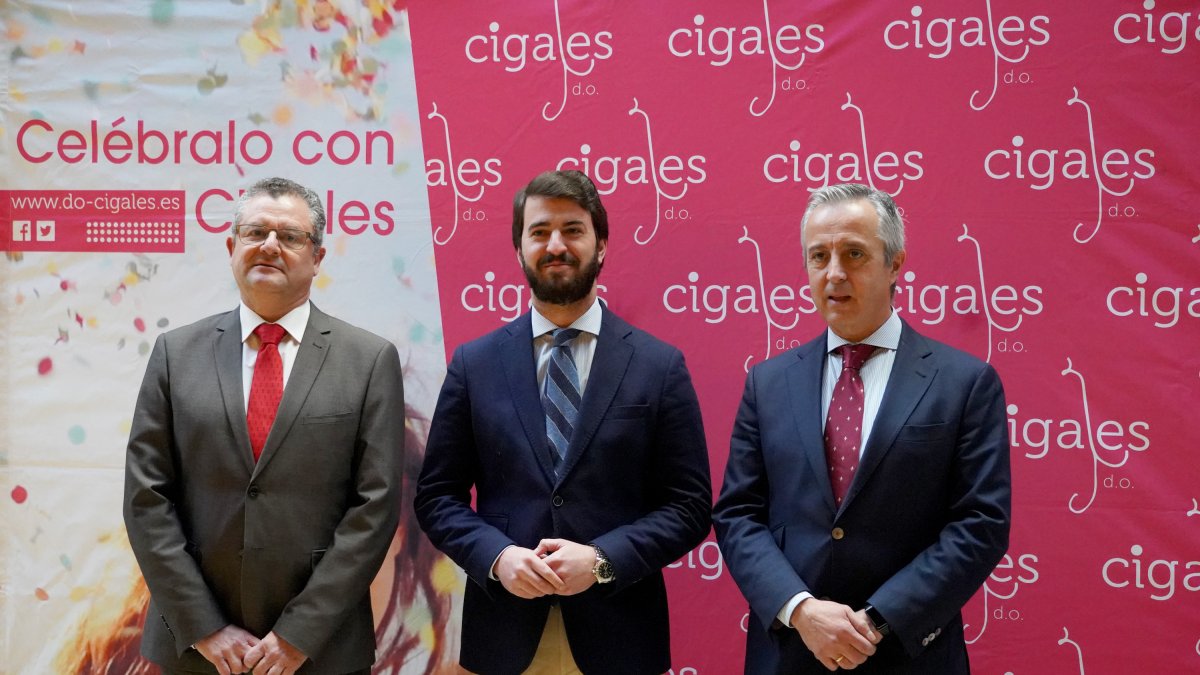 El vicepresidente de la Junta de Castilla y León, Juan García-Gallardo, clausura la jornada de trabajo en la que se presenta la nueva añada de la Denominación de Origen Cigales. También asiste el consejero de Agricultura y Ganadería, Gerardo Dueñas. ICAL