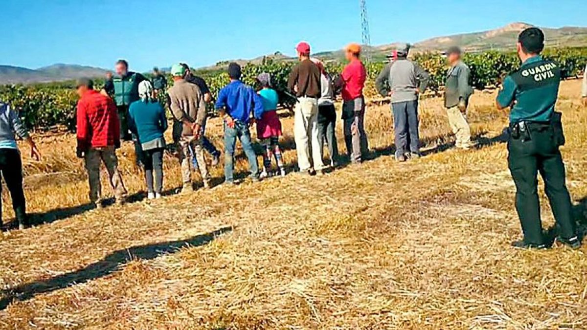 Grupo de temporeros víctimas de trata en el momento en que la Guardia Civil desarticuló la banda.-GUARDIA CIVIL