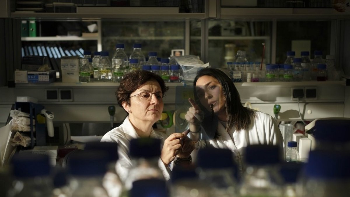 Mercedes Dosil (a la izquierda) y una investigadora de su equipo en las instalaciones del Centro del Cáncer de Salamanca. | ENRIQUE CARRASCAL