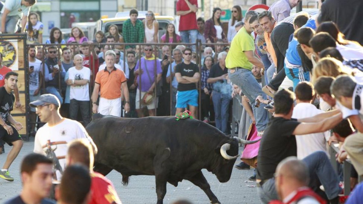 Celebración del Toro de Gracia, ayer en Villanubla.-J. M. Lostau