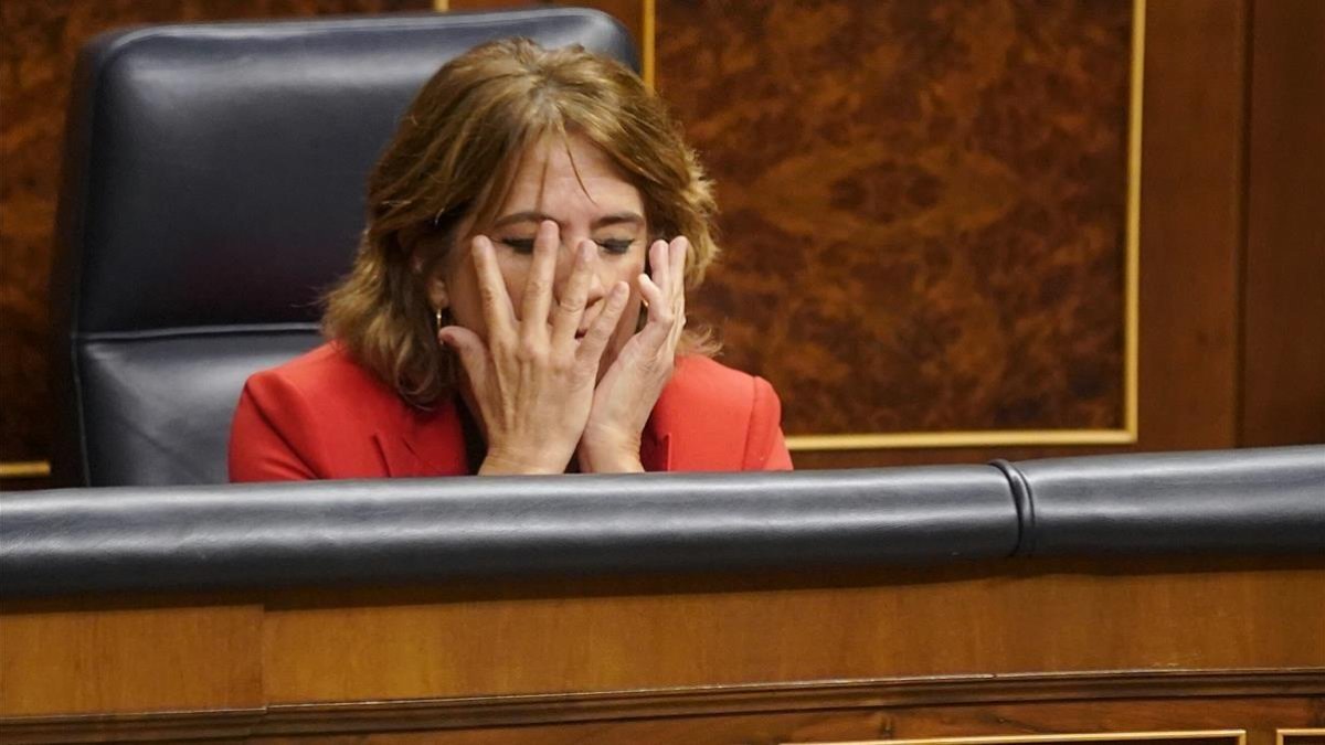 Dolores Delgado, en el Congreso-JOSE LUIS ROCA