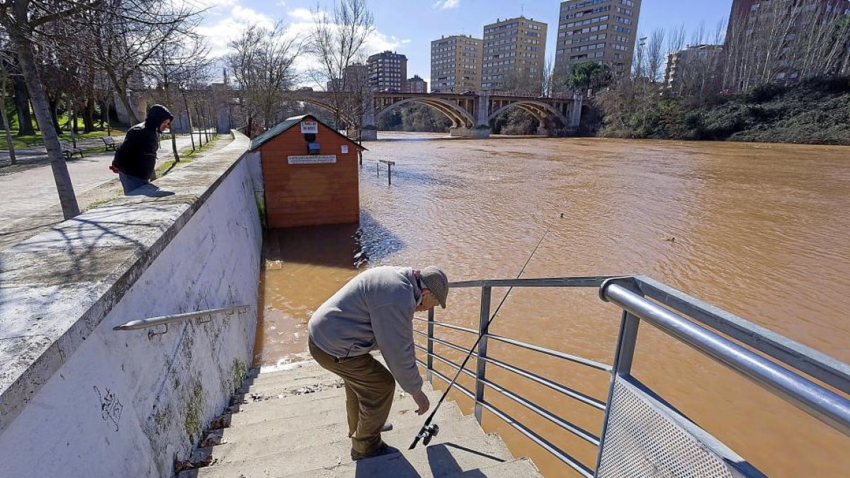 Un pescador en el Pisuerga, ayer, con la ribera baja inundada.-PABLO REQUEJO