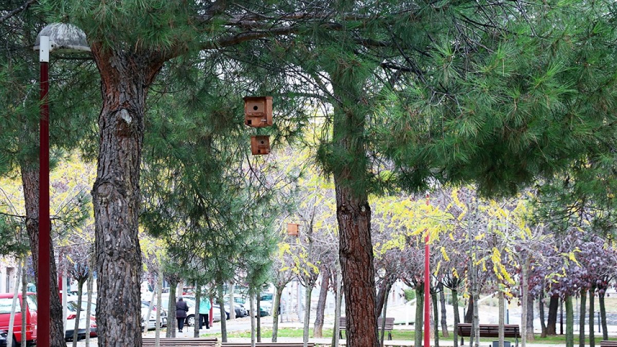 El Ayuntamiento de Valladolid instala 200 cajas nido para dar cobijo a las aves de Pajarillos.- ICAL