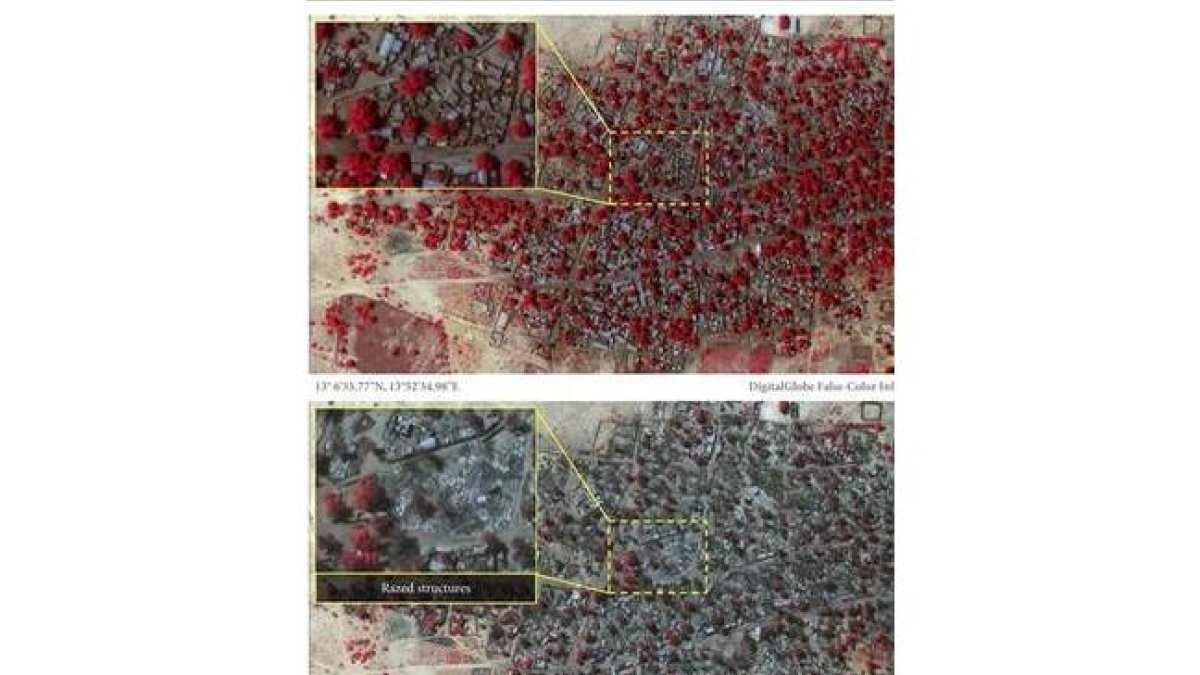 Combo de fotografías por satélite de DigitalGlobal de antes y después del ataque a Baga. Las zonas rojas muestran la vegetación sana.-Foto: EFE / MICHAH FARFOUR
