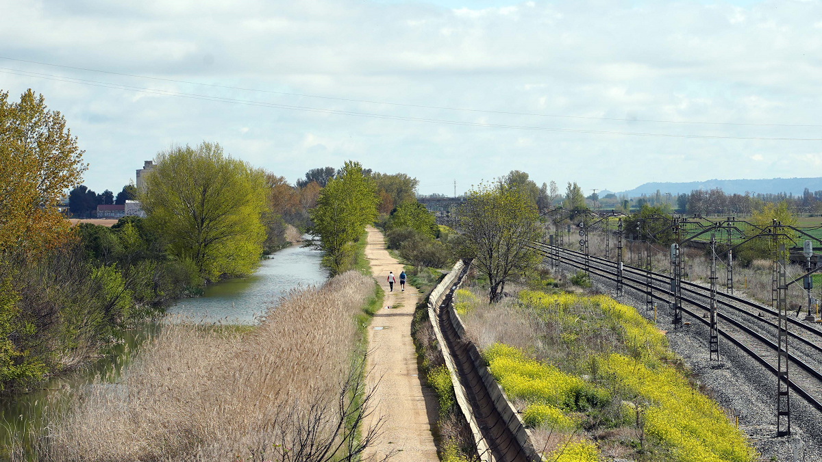Canal de Castilla a su paso por la localidad vallisoletana de Cabezón de Pisuerga junto a la vía del tren Miriam Chacón / ICAL .