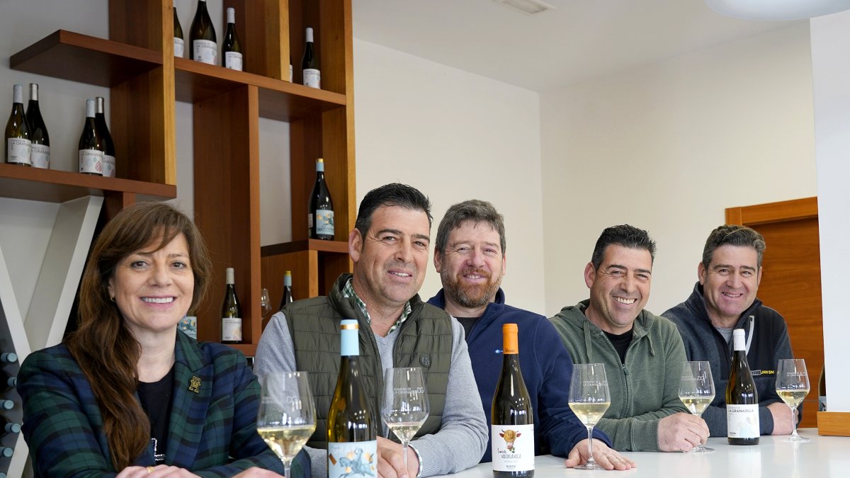 Los cinco hermanos Descalzo Matos en la bodega de Nava del Rey. Ana, Miguel, David, Alfonso y Roberto.