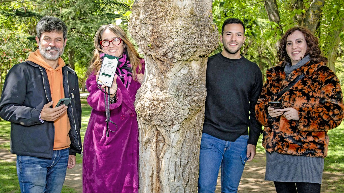 Javier Frades, Mayka Martínez, Diego  Rello y Beatriz Díez, técnicos de Cesefor y del Ayuntamiento que trabajan en el proyecto Brera .  SERGIO DE MIGUEL